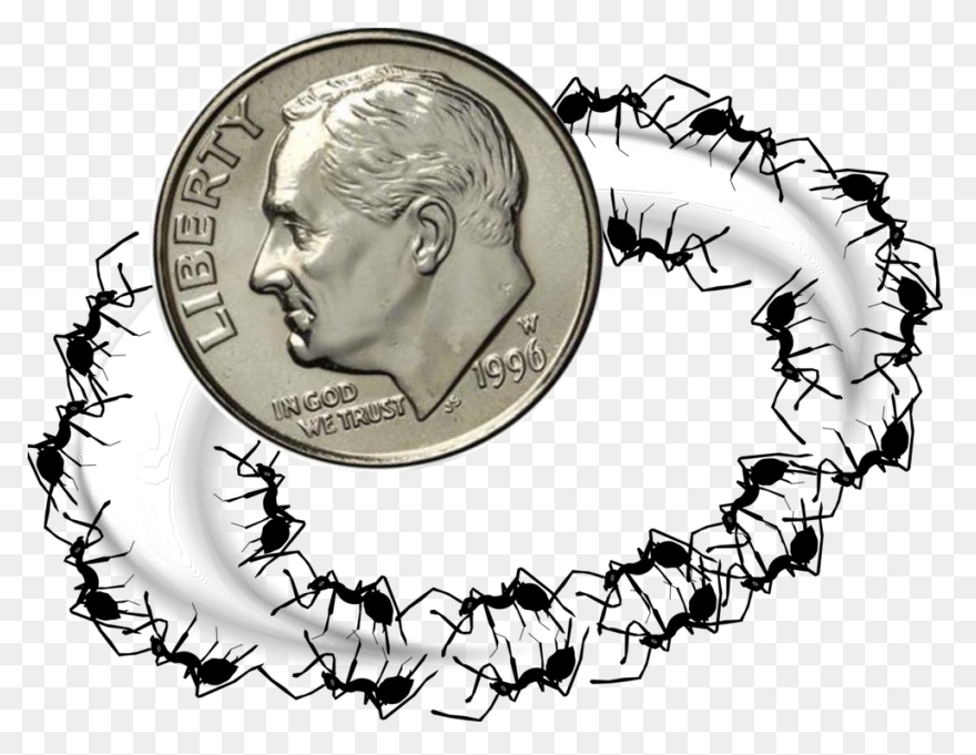 Dime Png Freeuse Half Huge Freebie 