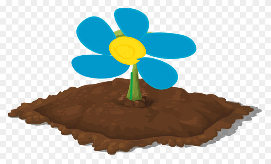 Dirt, Dust, Ground, Humus, Mound, P
