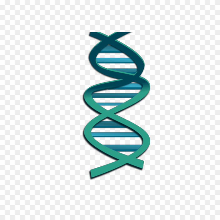 The Changing Shape Of Dna
