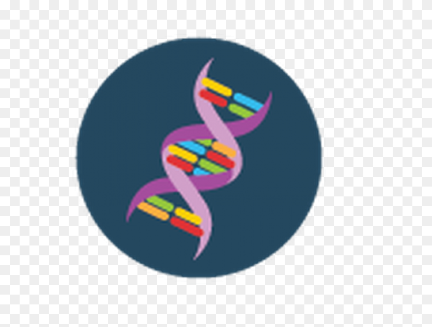 The Changing Shape Of Dna