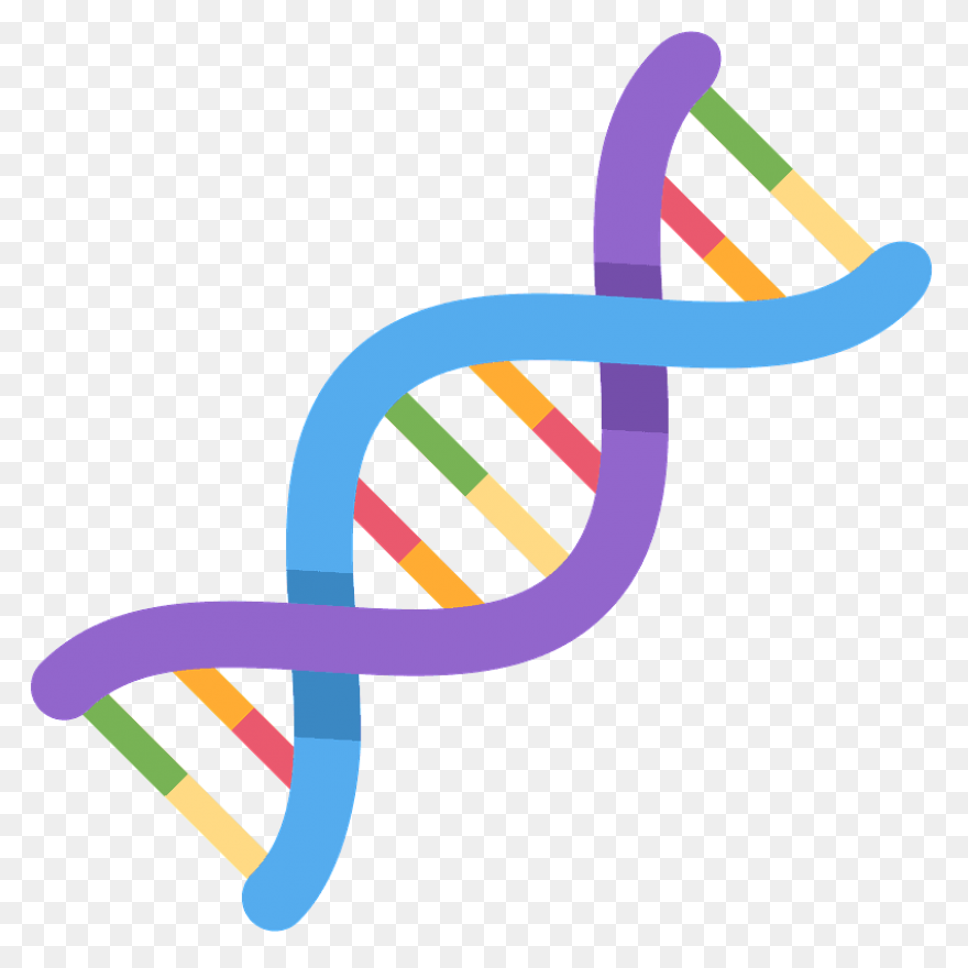 The Changing Shape Of Dna
