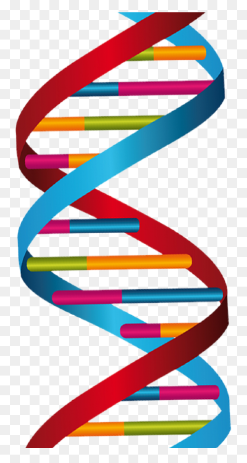 The Changing Shape Of Dna