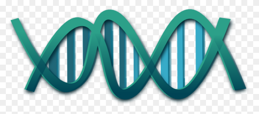 The Changing Shape Of Dna