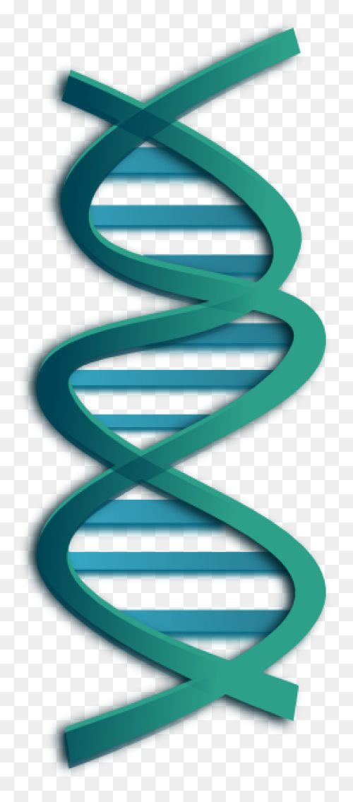 The Changing Shape Of Dna