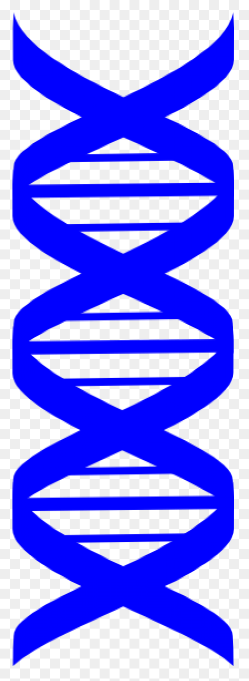 Major Enzymes | Biology For Majors 