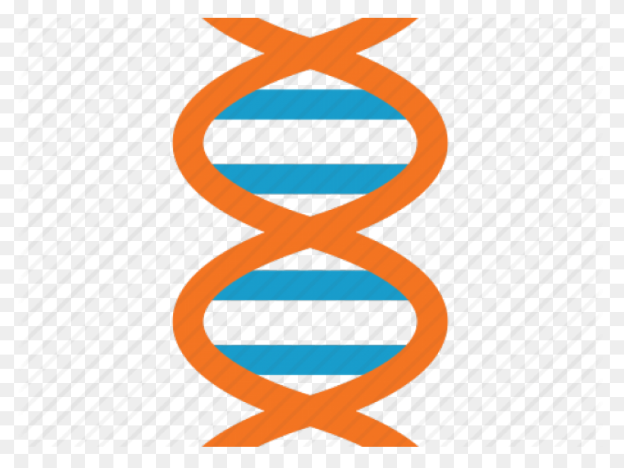 Major Enzymes | Biology For Majors 