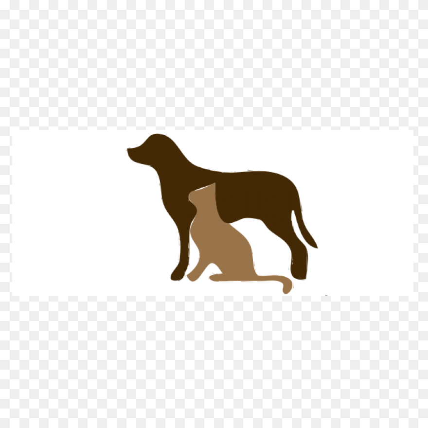 Dog And Cat | Free - Dog And Cat