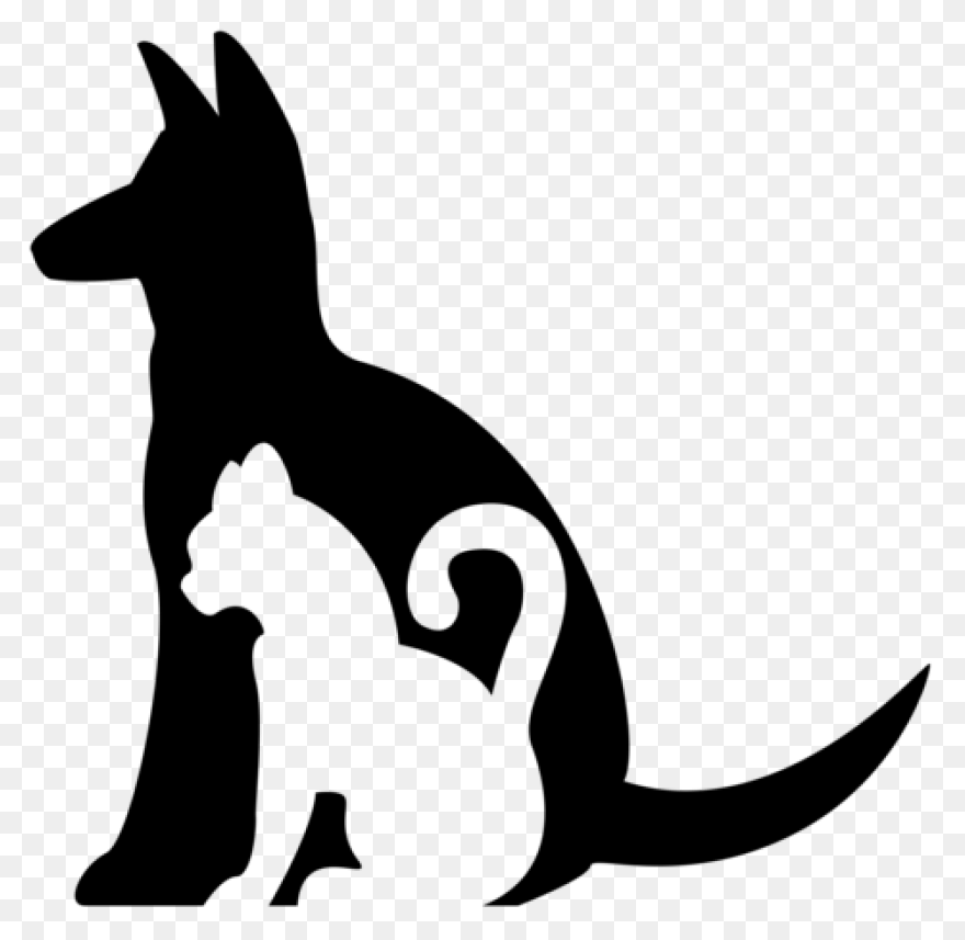 The Cat And Dog Coexistence - Dog And Cat