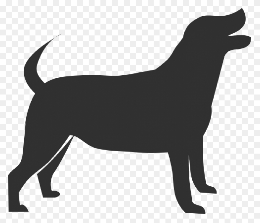 Dog Flat Design Icon Graphic By 1Ri