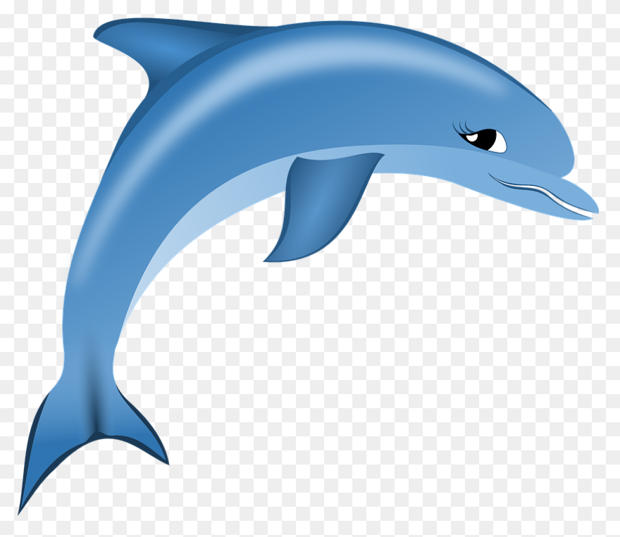 Free Image On ClipartFlare - Dolphi