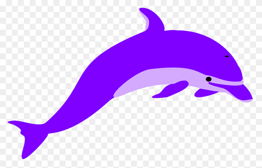 Free Image On ClipartFlare - Dolphi