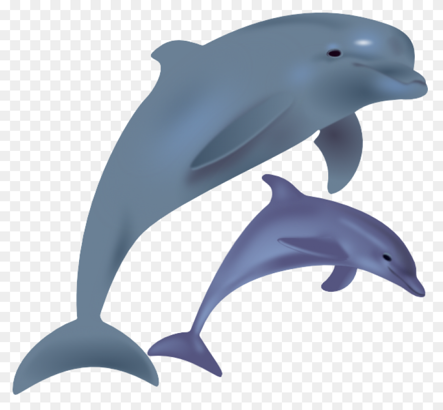 Free Image On ClipartFlare - Dolphi