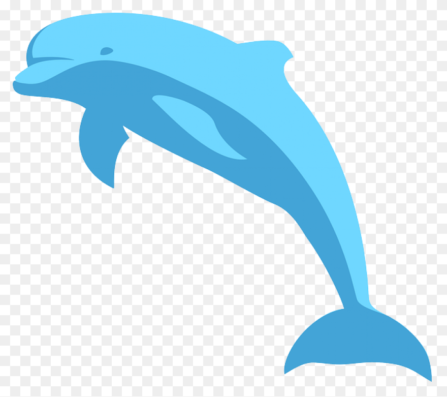 Free Image On Dolphin Blue - Dolphin