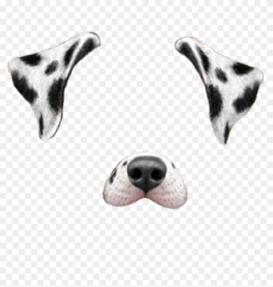 Download Dog Filter Smiley - Smiley