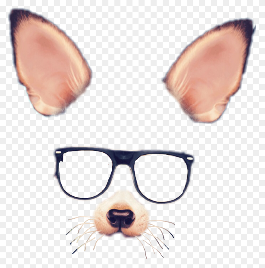 Download Dog Filter Smiley - Smiley