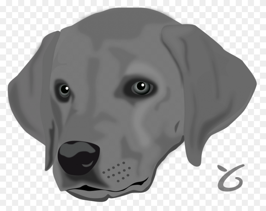 Head, Brown, Blue, White, Cartoon, 