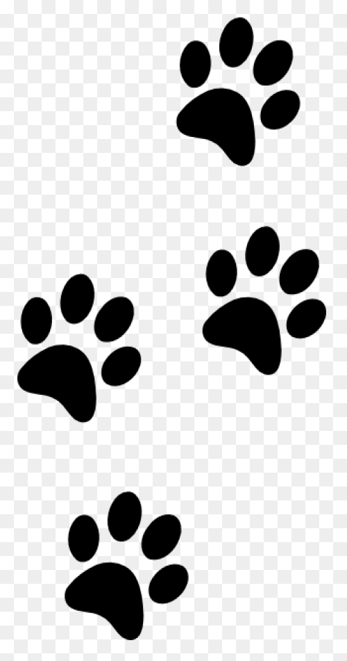 Dog Footprint | Free PNG-WebP