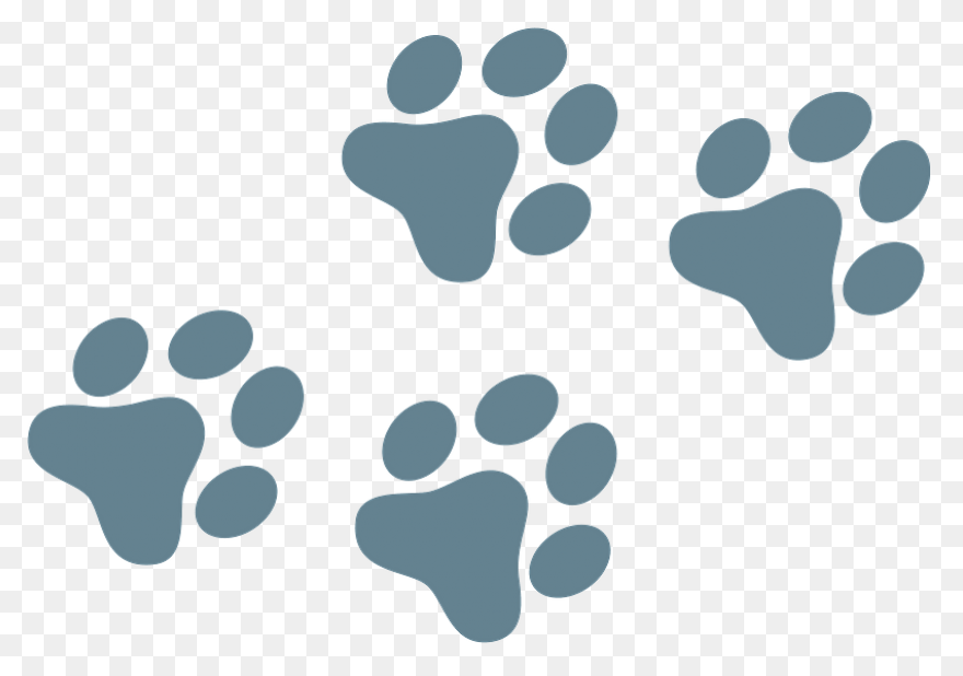 Dog Footprint | Free PNG-WebP