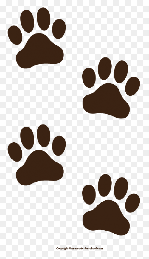 Dog Footprint | Free PNG-WebP