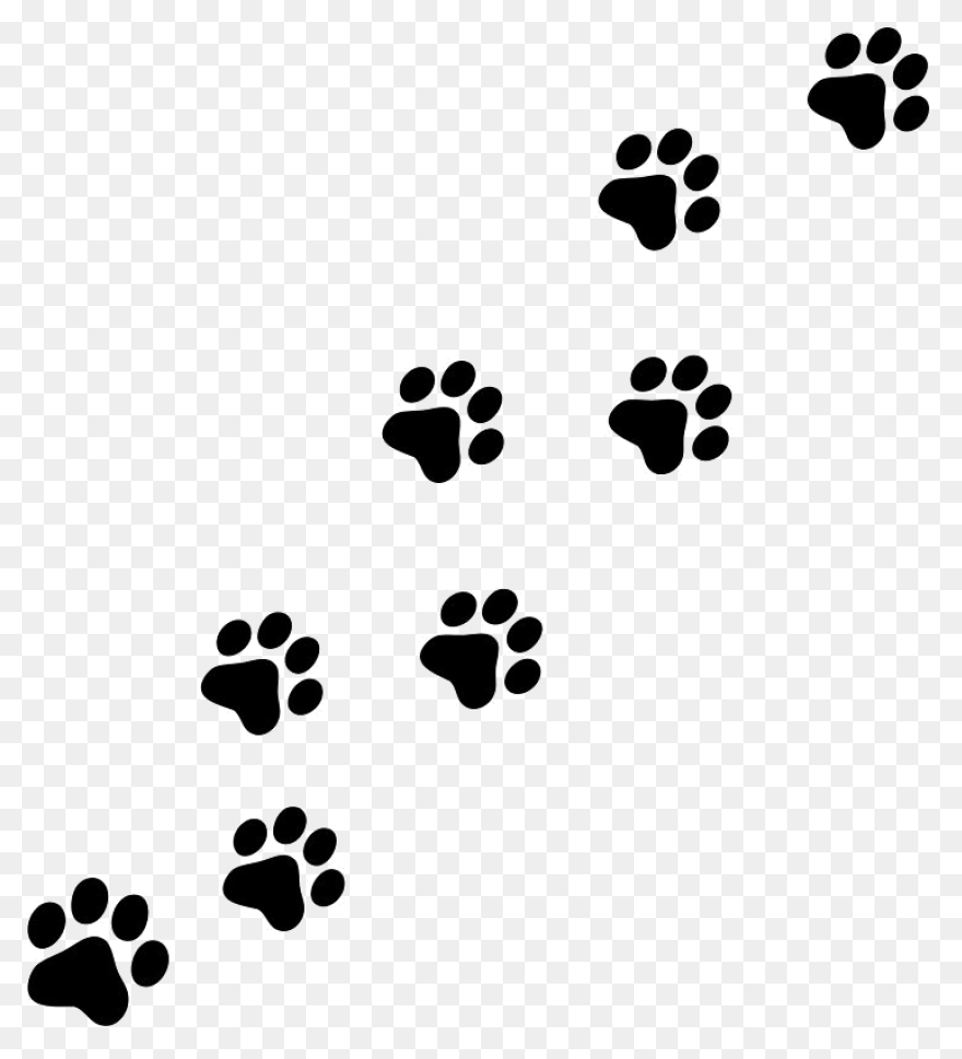 Dog Footprint | Free PNG-WebP