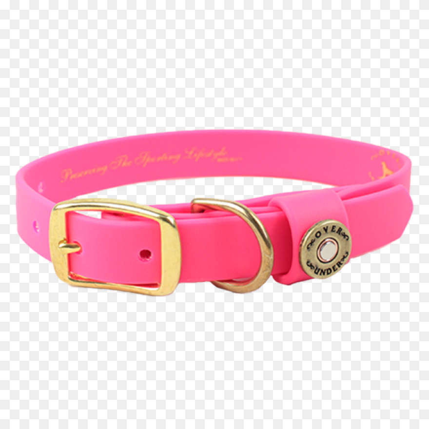Water Dog Collar Pink - Dog Collar