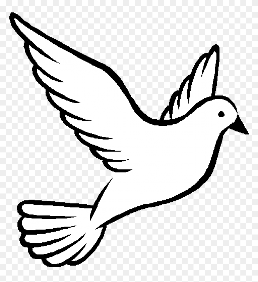 Dove Peace Clipart Pigeons And Dove