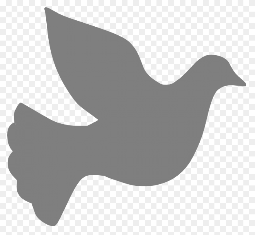 Dove Peace Clipart Pigeons And Dove
