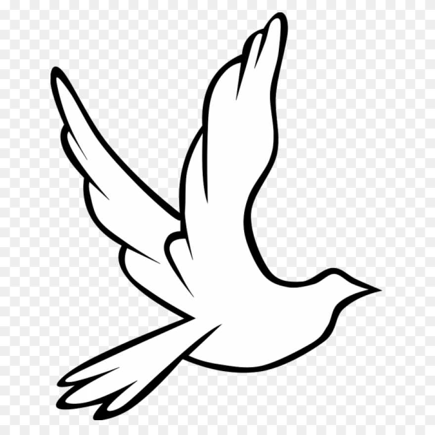 Dove Peace Clipart Pigeons And Dove