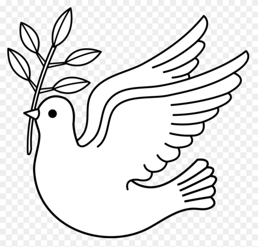Dove Peace Clipart Pigeons And Dove