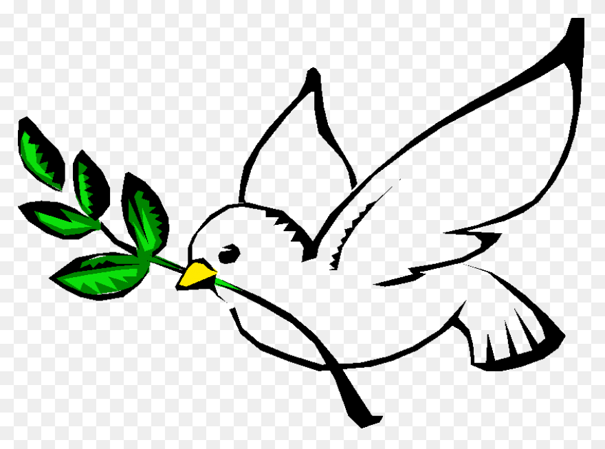 Dove Peace Clipart Pigeons And Dove