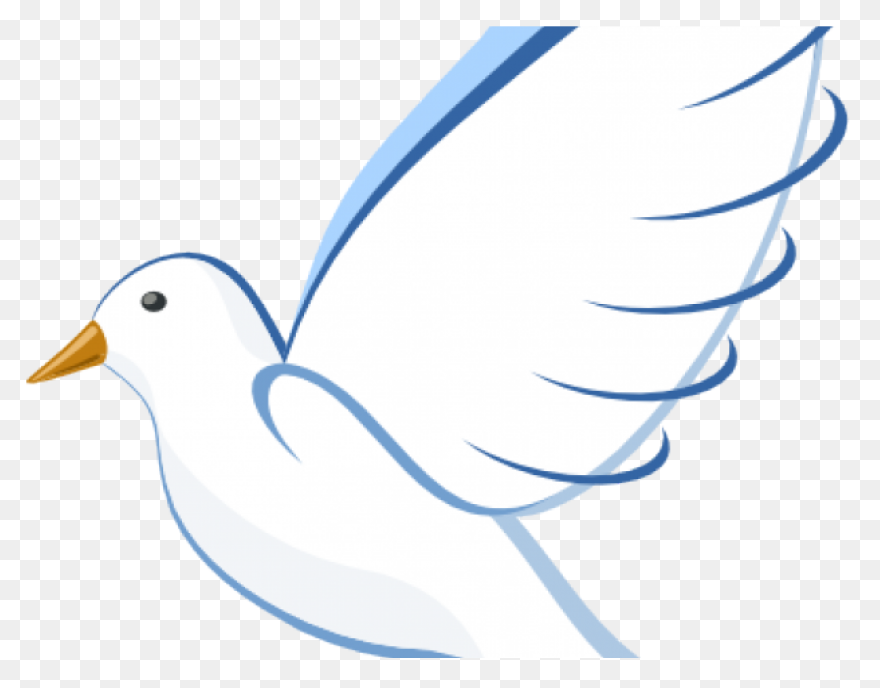 Dove Peace Clipart Pigeons And Dove