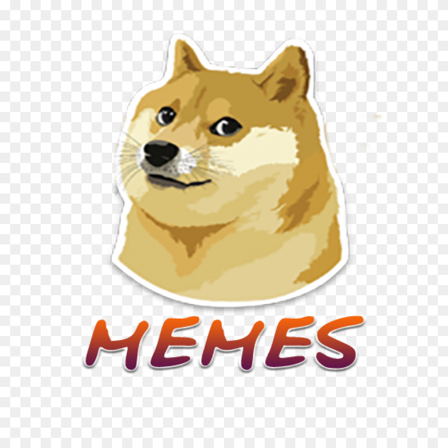 Doggo On Behance