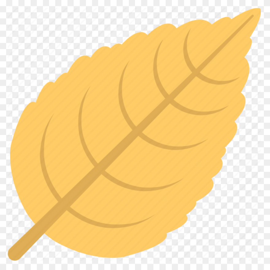 Maple Leaf Clipart Dry Leaf - Brown