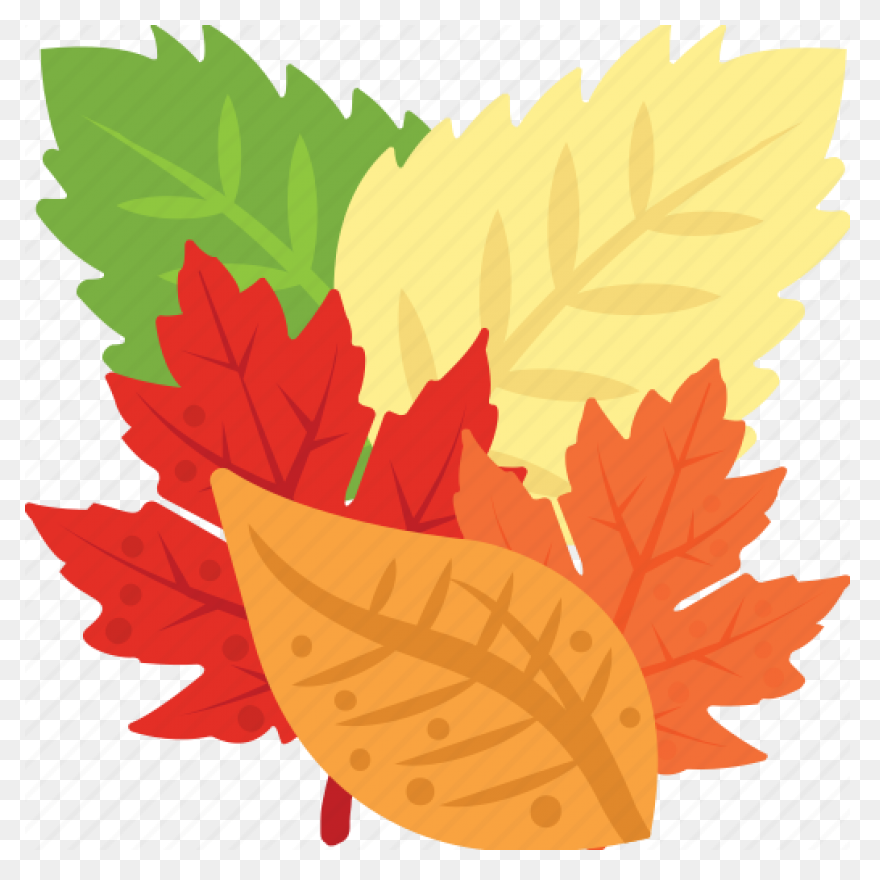 Maple Leaf Clipart Dry Leaf - Brown