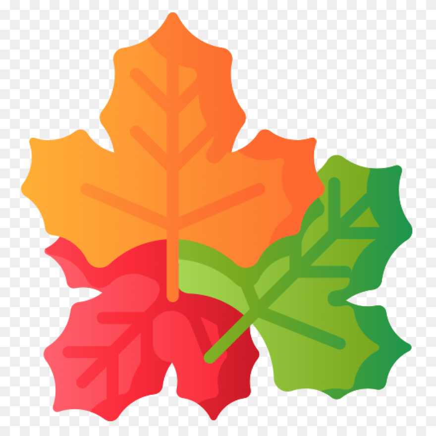 Maple Leaf Clipart Dry Leaf - Brown