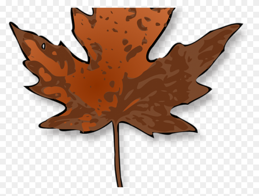Maple Leaf Clipart Dry Leaf - Brown