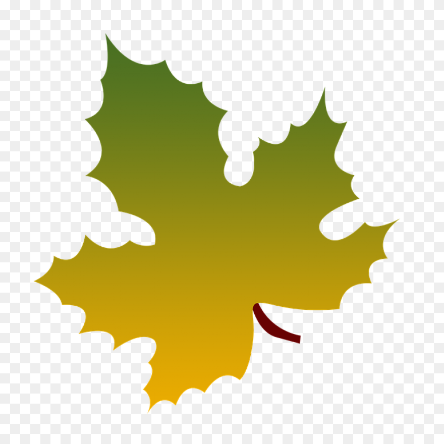 Maple Leaf Clipart Dry Leaf - Brown