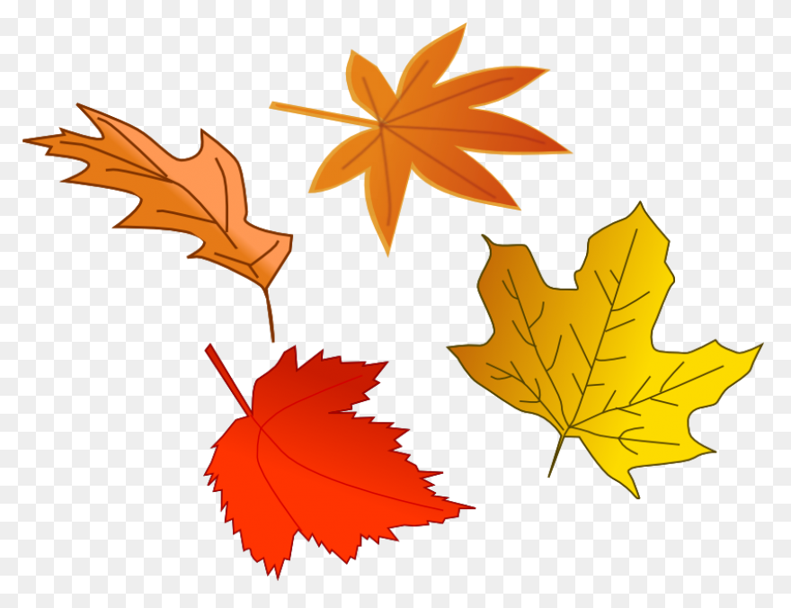 Oak Leaf Clipart Free Falling - Dry Leaf