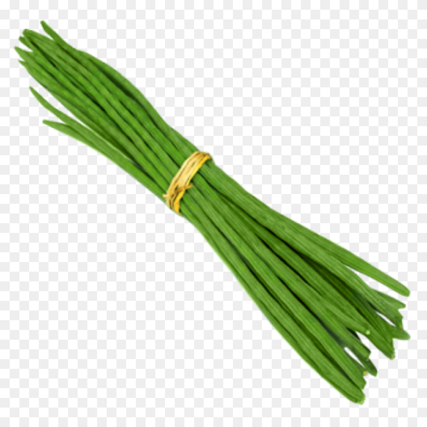 Drum Sticks Variant Free Vector Ico