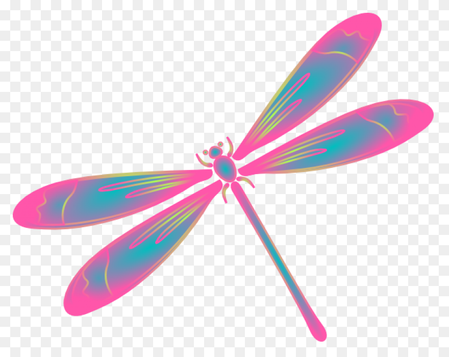Dragonfly Clipart | Dragonfly In - Dragonfly