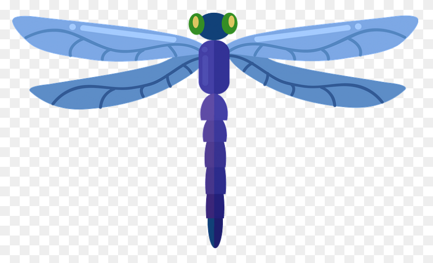 Dragonfly, Flying, Color, Wings, Ar
