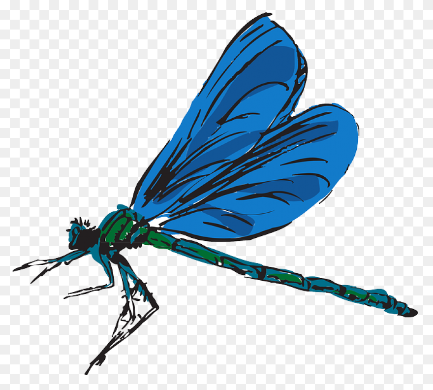 Dragonfly Flying Color Wings Art - Dragonfly