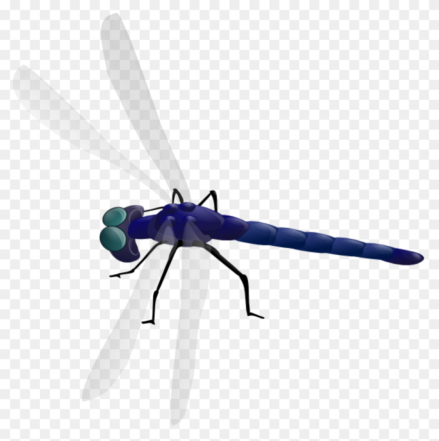 Dragonfly, Flying, Color, Wings, Ar