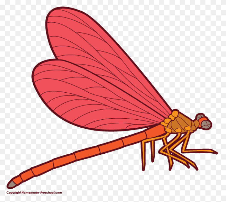 Dragonfly, Flying, Color, Wings, Ar