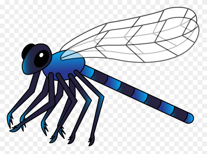 Dragonfly, Flying, Color, Wings, Ar
