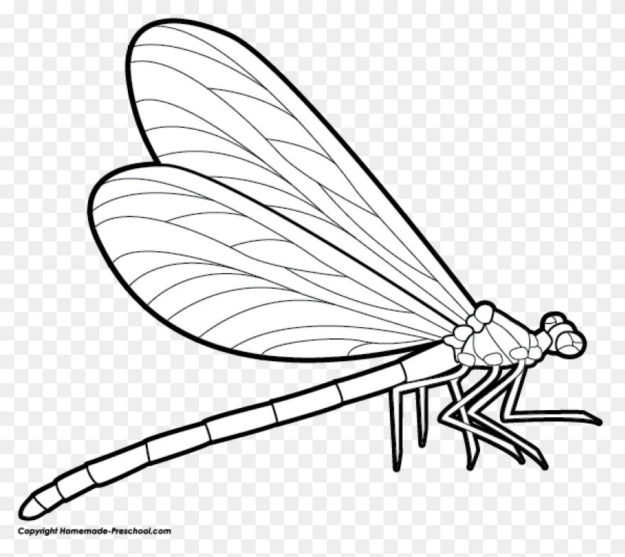 Dragonfly, Flying, Color, Wings, Ar