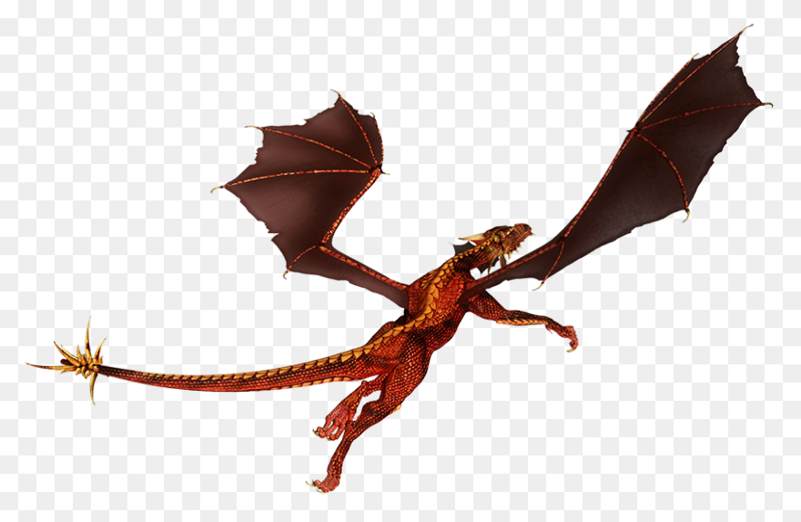 Baby Dragons Dragon Cartoon Images 