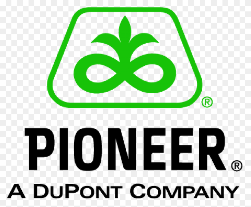 Dupont Logo Download Vector