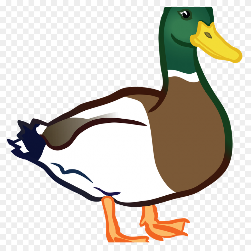Duck Clipart Image Free Clipart Ima