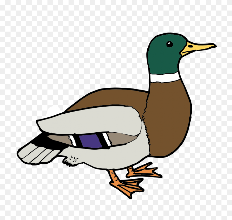 Duck Clipart Image Free Clipart Ima